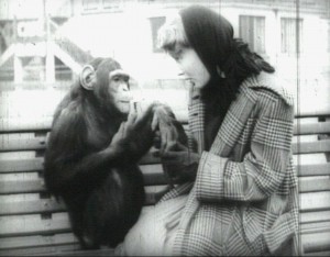 Petula Clark speaks to a smoking chimpanzee in Dublin Zoo. Copyright Dublin Zoo 1952.